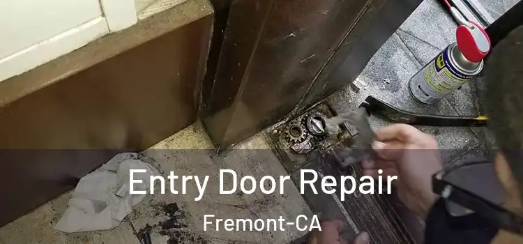 Entry Door Repair Fremont-CA